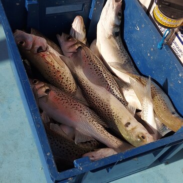 Pêche au gros proche Le Verdon-sur-Mer