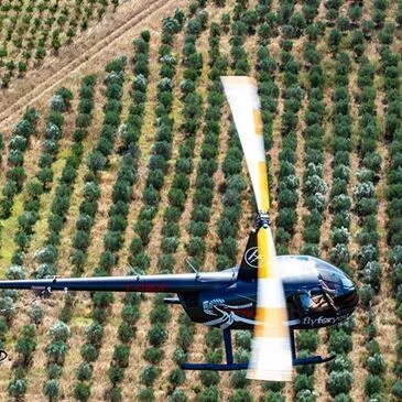 Aérodrome de Beaune-Challanges, Côte d'or (21) - Baptême de l'air hélicoptère Aérodrome de Beaune-Challanges, Côte d'or (21) - Baptême de l'air hélicoptère