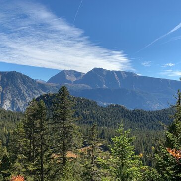 Chamrousse, à 50 min de Grenoble, Isère (38) - Quad & Buggy