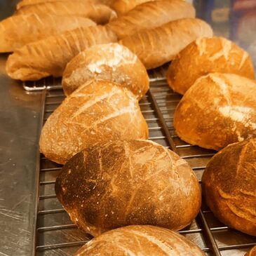 Chessy, Seine et marne (77) - Cours de Cuisine