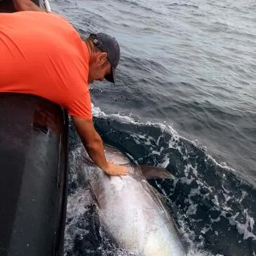 Pêche au Gros à la Rochelle Pêche au Gros à la Rochelle