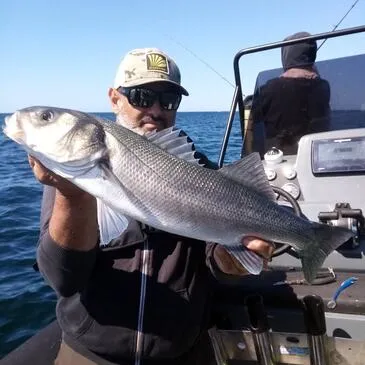 Pêche Sportive à la Rochelle Pêche Sportive à la Rochelle