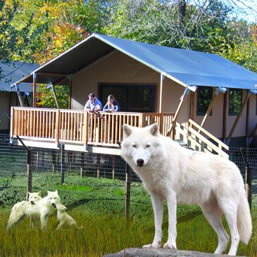 Dormir avec les Loups au Zoo de Cerza à Lisieux