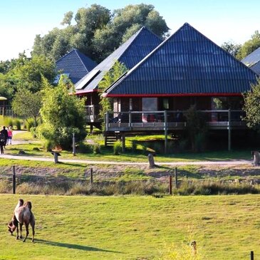 Nuit en Lodge au Zoo de Cerza à Lisieux