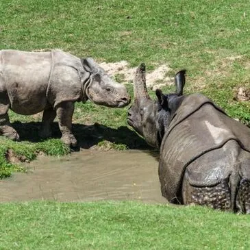 Offrir Weekend et Hébergement Insolite département Calvados Offrir Weekend et Hébergement Insolite département Calvados