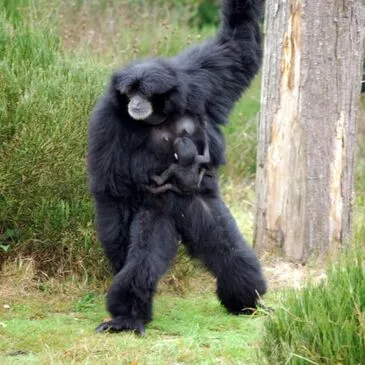 Offrir Weekend et Hébergement Insolite en Normandie Offrir Weekend et Hébergement Insolite en Normandie