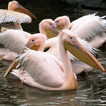 Weekend et Hébergement Insolite, département Calvados Weekend et Hébergement Insolite, département Calvados