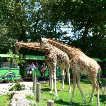 Weekend et Hébergement Insolite en région Normandie