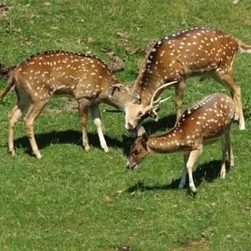 Réserver Weekend et Hébergement Insolite département Calvados Réserver Weekend et Hébergement Insolite département Calvados