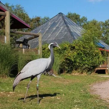 Réserver Weekend et Hébergement Insolite en Normandie Réserver Weekend et Hébergement Insolite en Normandie