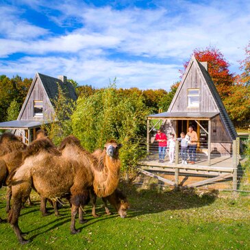 Nuit en Cabane sur Pilotis au Zoo de Cerza