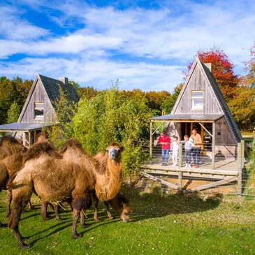 Nuit en Cabane sur Pilotis au Zoo de Cerza Nuit en Cabane sur Pilotis au Zoo de Cerza