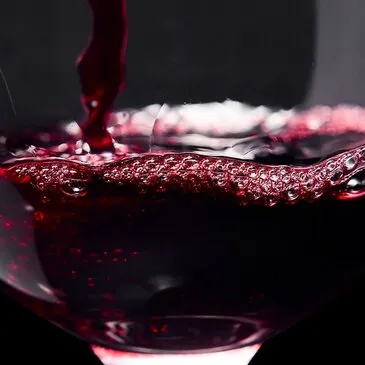 Cours d'œnologie en région Rhône-Alpes Cours d'œnologie en région Rhône-Alpes