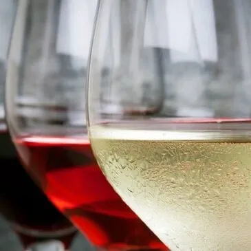 Lyon 6ème, Rhône (69) - Cours d'œnologie Lyon 6ème, Rhône (69) - Cours d'œnologie