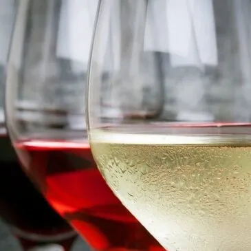 Paris 11e, Paris (75) - Cours d'œnologie Paris 11e, Paris (75) - Cours d'œnologie