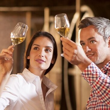 Atelier Dégustation de Vin Bio à Toulouse