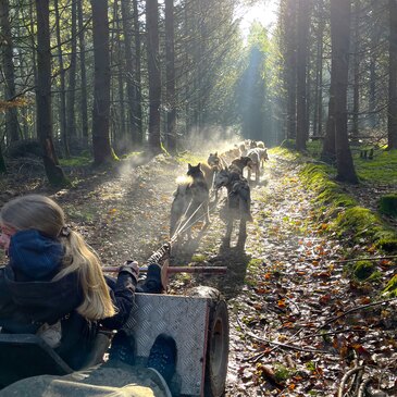 Balade en Cani-Kart près de Clermont-Ferrand