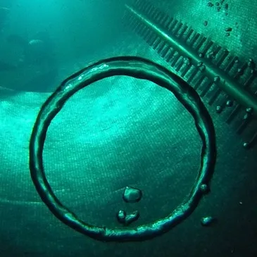 Baptême de plongée en région Ile-de-France Baptême de plongée en région Ile-de-France