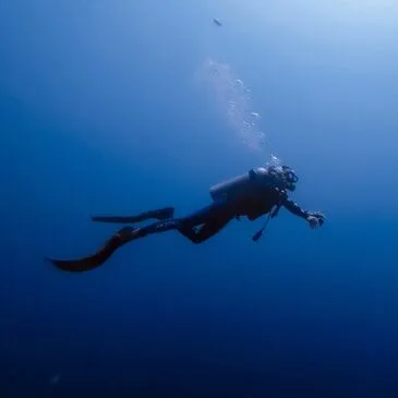 Argenteuil, Val d'oise (95) - Baptême de plongée Argenteuil, Val d'oise (95) - Baptême de plongée