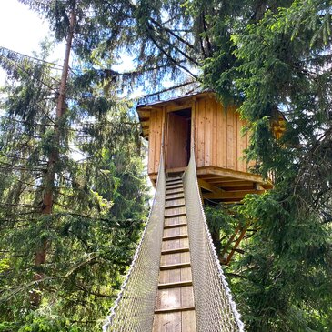 Cabane dans les Arbres face au Mont Blanc