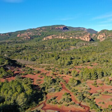 Puget-sur-Argens, Var (83) - Quad & Buggy