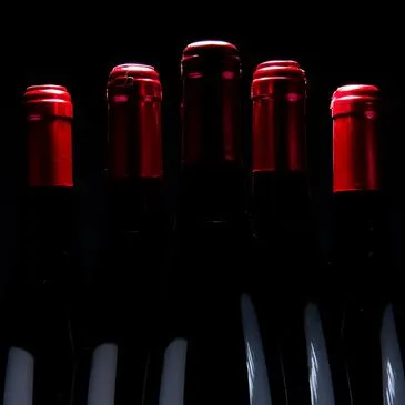 Visite & Dégustation de Vins & Fromages au M.Musée du Vin à Paris Visite & Dégustation de Vins & Fromages au M.Musée du Vin à Paris