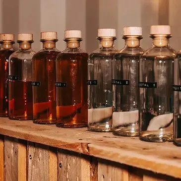 Bordeaux, Gironde (33) - Cours d'œnologie Bordeaux, Gironde (33) - Cours d'œnologie