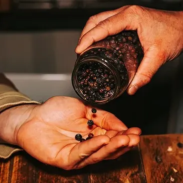 Gironde (33) Aquitaine - Urbain Gironde (33) Aquitaine - Urbain