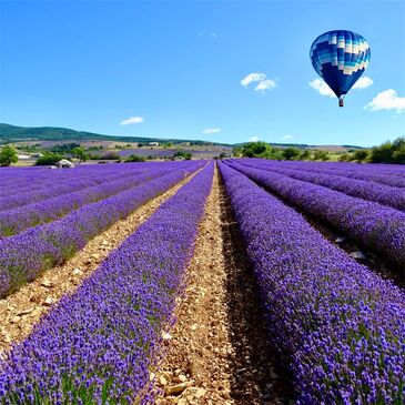 Vol en Montgolfière à Banon