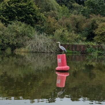 Balade en Bateau à Dinan en région Bretagne