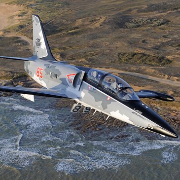 Vol en Avion de Chasse L-39 à Reims