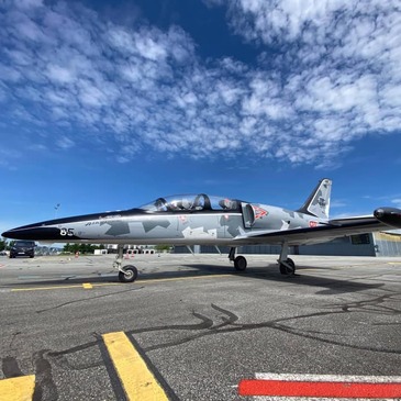 Vol en Avion de Chasse L-39 à Reims en région Champagne-Ardenne