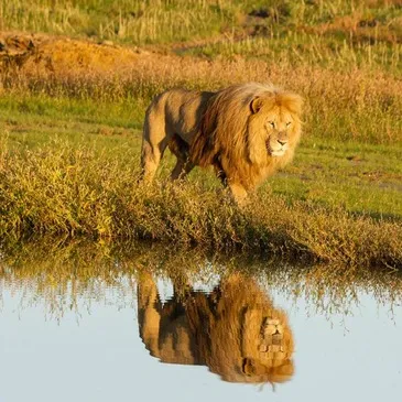 Weekend et Hébergement Insolite, département Seine et marne Weekend et Hébergement Insolite, département Seine et marne
