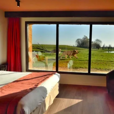 Weekend et Hébergement Insolite en région Ile-de-France Weekend et Hébergement Insolite en région Ile-de-France