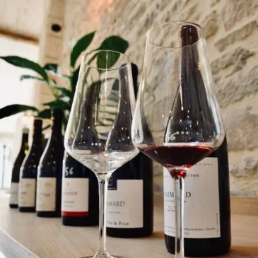 Atelier Dégustation de Vins à Beaune Atelier Dégustation de Vins à Beaune