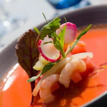 Week end Gastronomique proche Antibes Week end Gastronomique proche Antibes