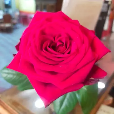 Réserver Week end en Hôtel Spa département Drôme Réserver Week end en Hôtel Spa département Drôme