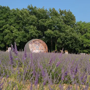 Nuit en Bulle à Aix-en-Provence Nuit en Bulle à Aix-en-Provence