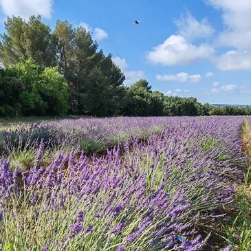 Weekend et Hébergement Insolite proche Aix-en-Provence Weekend et Hébergement Insolite proche Aix-en-Provence