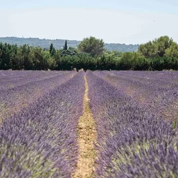 Nuit en Bulle à Aix-en-Provence en région PACA et Corse Nuit en Bulle à Aix-en-Provence en région PACA et Corse