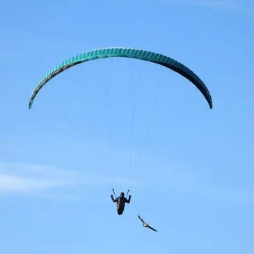 Baptême en parapente proche Digne-les-Bains Baptême en parapente proche Digne-les-Bains