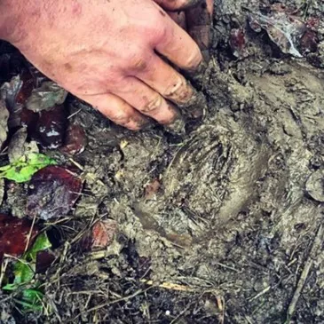 Nibles, à 15 min de Sisteron, Alpes de Haute Provence (04) - Stage de Survie Nibles, à 15 min de Sisteron, Alpes de Haute Provence (04) - Stage de Survie