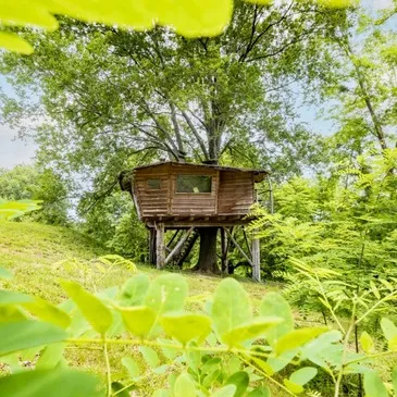 Cabane dans les Arbres avec Sauna près de Bayonne Cabane dans les Arbres avec Sauna près de Bayonne