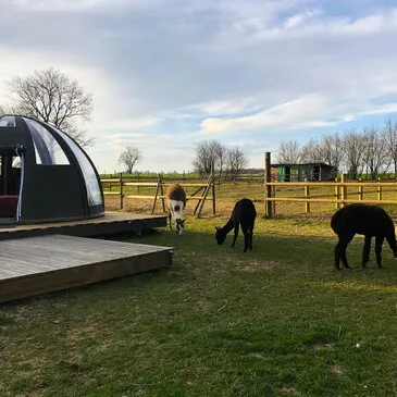 Nuit Insolite en Dôme près d'Étretat Nuit Insolite en Dôme près d'Étretat