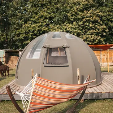 Dormir avec les Alpagas en Bulle à La Cerlangue Dormir avec les Alpagas en Bulle à La Cerlangue