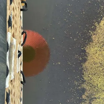 Baptême de l'air montgolfière en région Rhône-Alpes Baptême de l'air montgolfière en région Rhône-Alpes