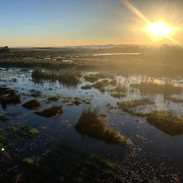 Vol en Montgolfière - Survol de la Loire en région Rhône-Alpes Vol en Montgolfière - Survol de la Loire en région Rhône-Alpes