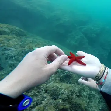 Var (83) PACA et Corse - Sport Aquatique Var (83) PACA et Corse - Sport Aquatique