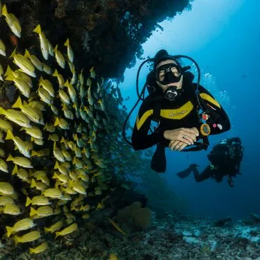 Saint-Raphaël, Var (83) - Baptême de plongée Saint-Raphaël, Var (83) - Baptême de plongée