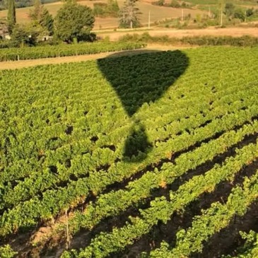 Vol en Montgolfière à Gaillac - Survol du Tarn en région Midi-Pyrénées